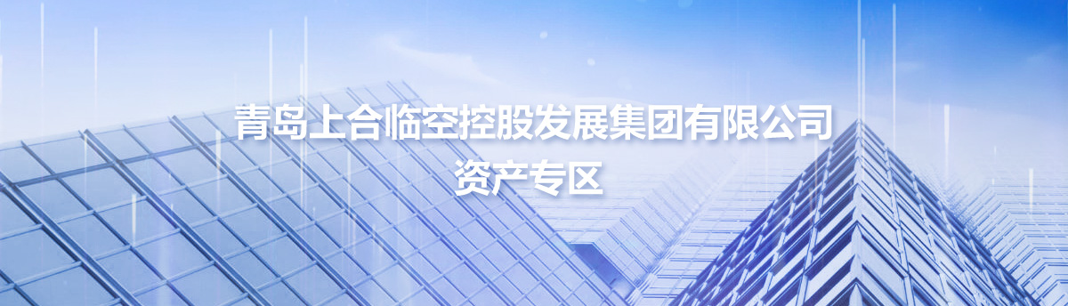 青島上合臨空控股發(fā)展集團有限公司資產(chǎn)專區(qū)